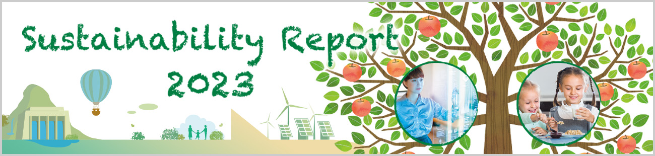 systainability report