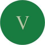 V Vision