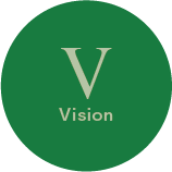 V Vision