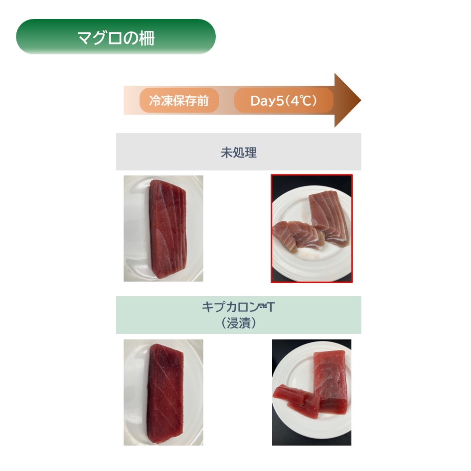 キプカロンT